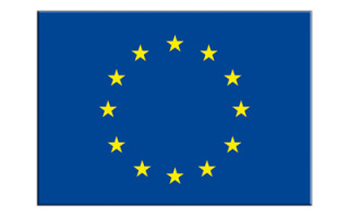 شبكة النساء المنتخبات